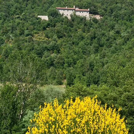 Resort Eremito