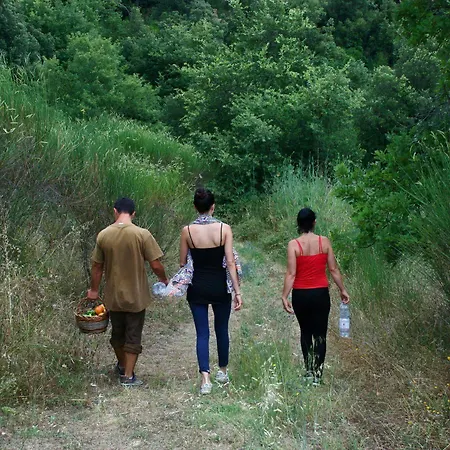 Semesteranläggning (resort) Eremito 4*