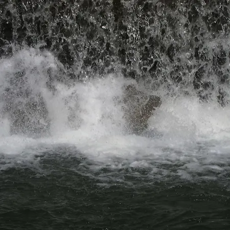 リゾート Eremito Parrano