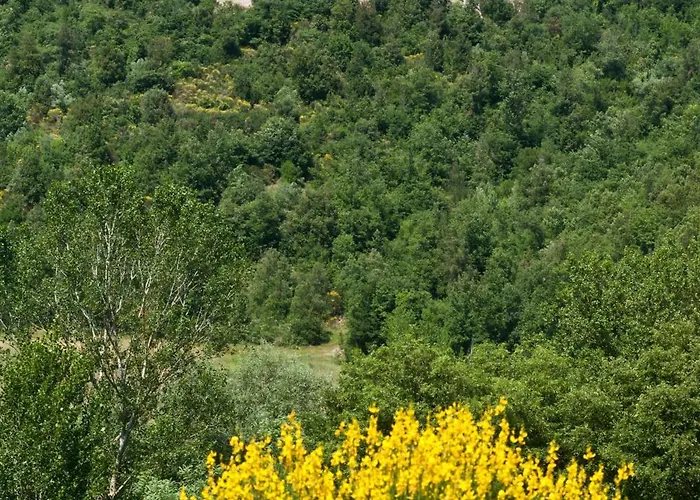 Θέρετρο Eremito