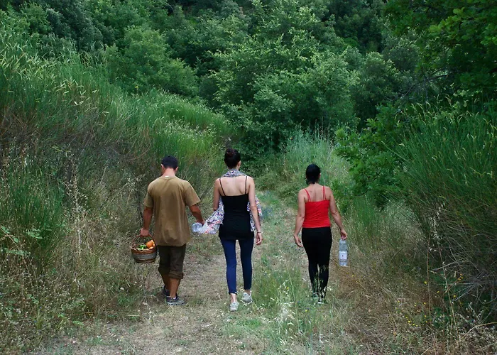 リゾート Eremito 4*